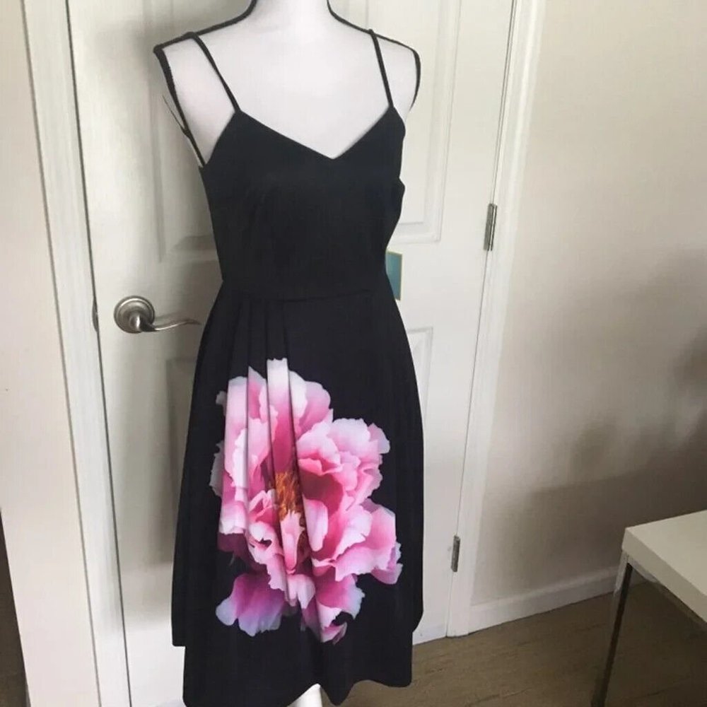 NWT Cece by Cynthia Steffe Leah Floral Flower A-Line Fit and Flare Pleated Dress